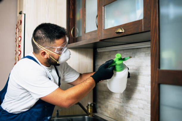 Best Pest Inspection Near Me  in Germantown, OH