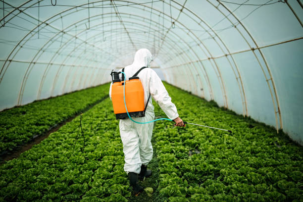 Pest Prevention Services in Germantown, OH