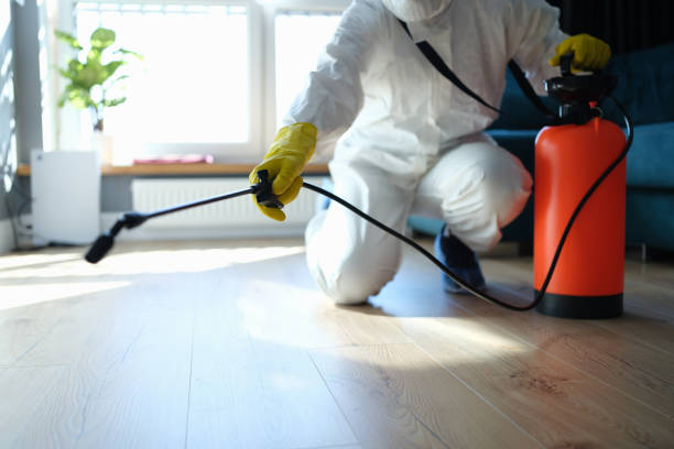 Professional Pest Control in Germantown, OH
