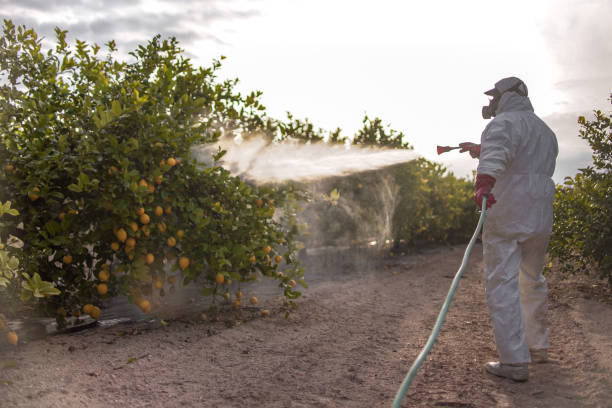 Best Termite Control Services  in Germantown, OH