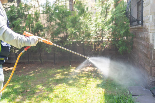 Best Wasp Removal Services  in Germantown, OH