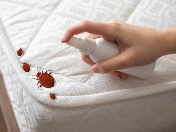 Best Affordable Pest Control Services  in Germantown, OH