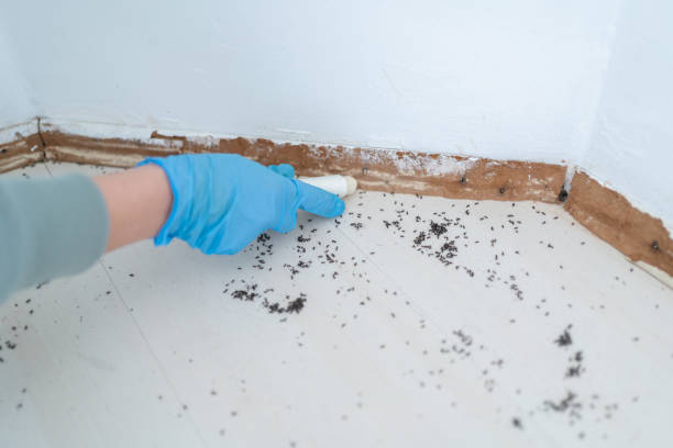 Best Affordable Pest Control Services  in Germantown, OH