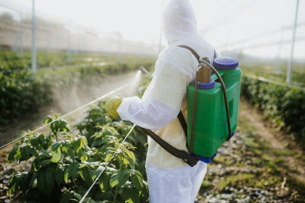 Best Commercial Pest Control Services  in Germantown, OH